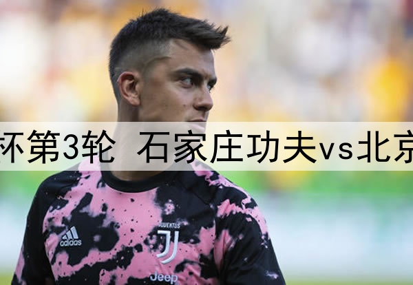 05月21日 足协杯第3轮 石家庄功夫vs北京国安 全场录像
